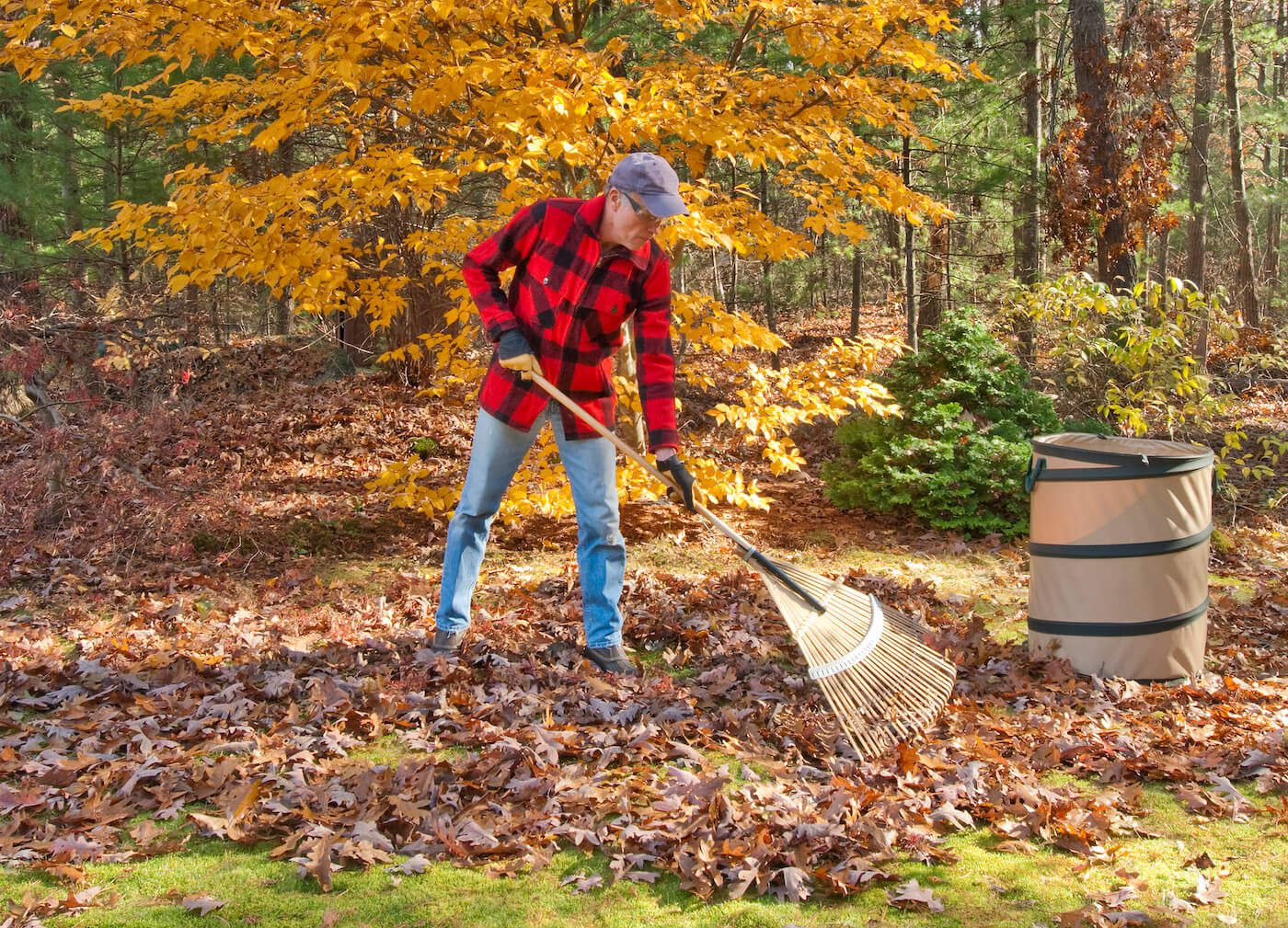 How to Rake Leaves, Shovel Snow, & Protect Your Back IMPACT Physical